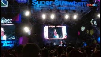 草莓音乐节视频,激情四溢的音乐盛宴