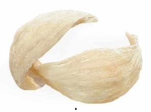 燕窝怎么炖是正确的视频