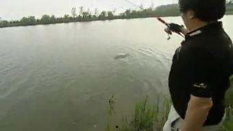 化绍新钓鱼视频大全